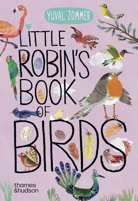 Little Robin's Book of Birds (Big Book: Littles)