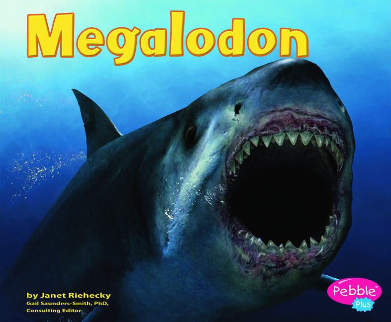 Megalodon (All About Dinosaurs)
