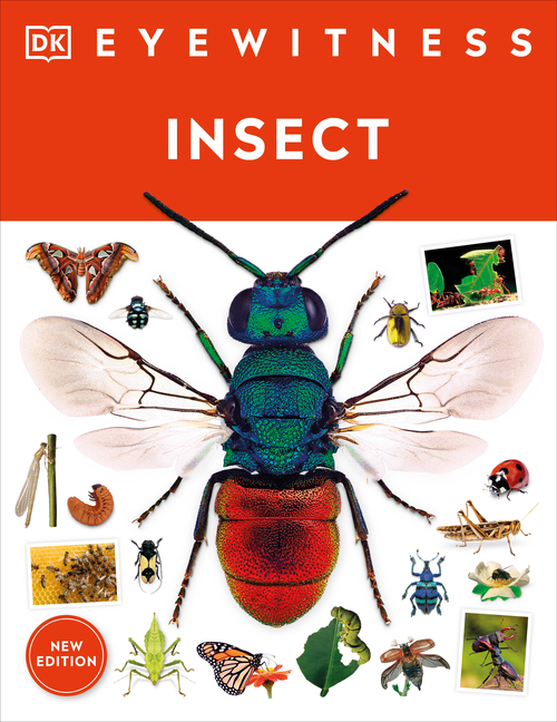 Insect (DK Eyewitness)