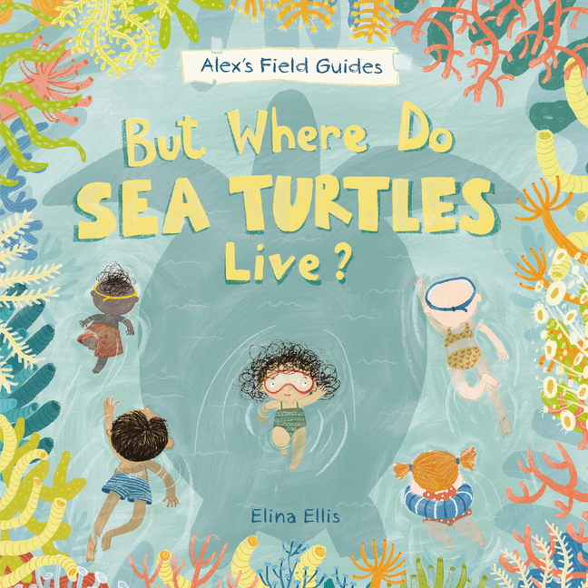 But Where Do Sea Turtles Live? (Alex's Field Guides)