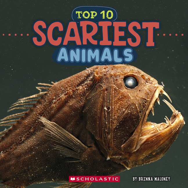 Scariest Animals (Wild World: Top 10) (Wild World)