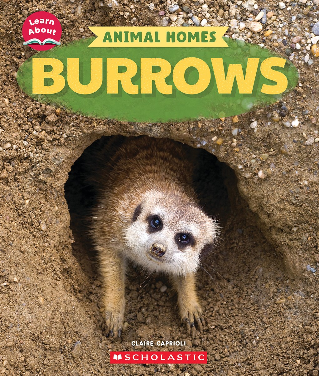 Burrows (Learn About)