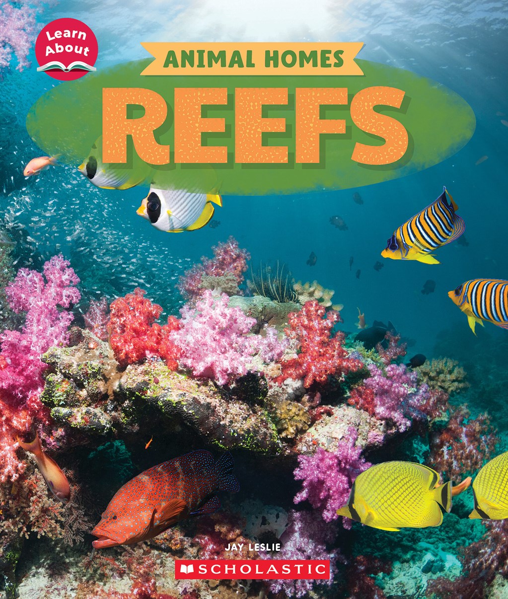 Reefs (Learn About)
