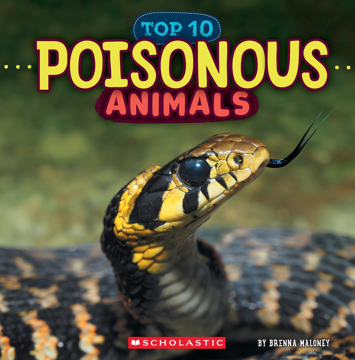 Poisonous Animals (Wild World)