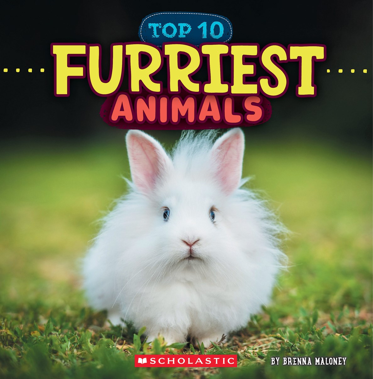Furriest Animals (Wild World)
