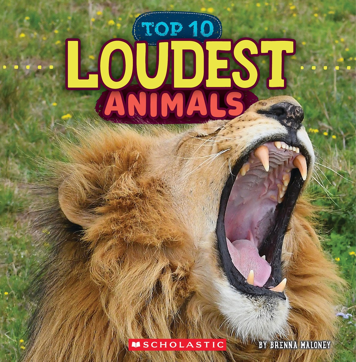 Loudest Animals (Wild World)