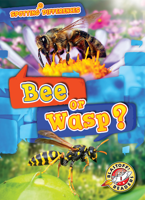 Bee or Wasp? (Spotting Differences)