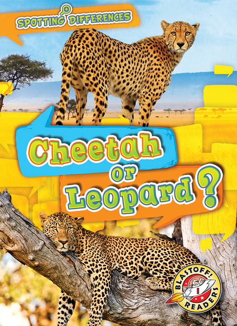 Cheetah or Leopard? (Spotting Differences)