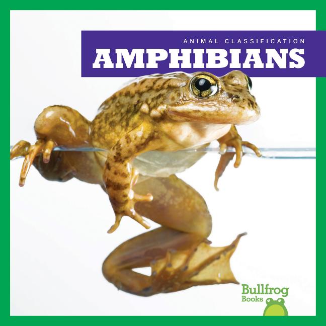 Amphibians (Animal Classification)