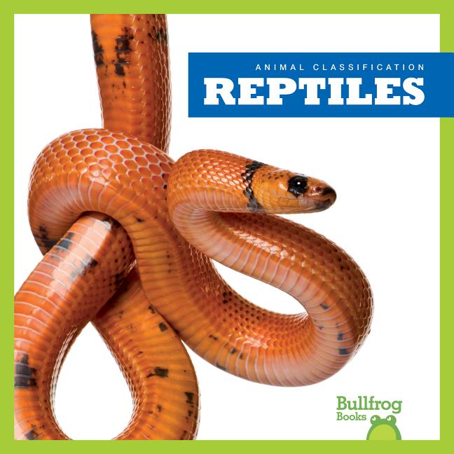 Reptiles (Animal Classification)