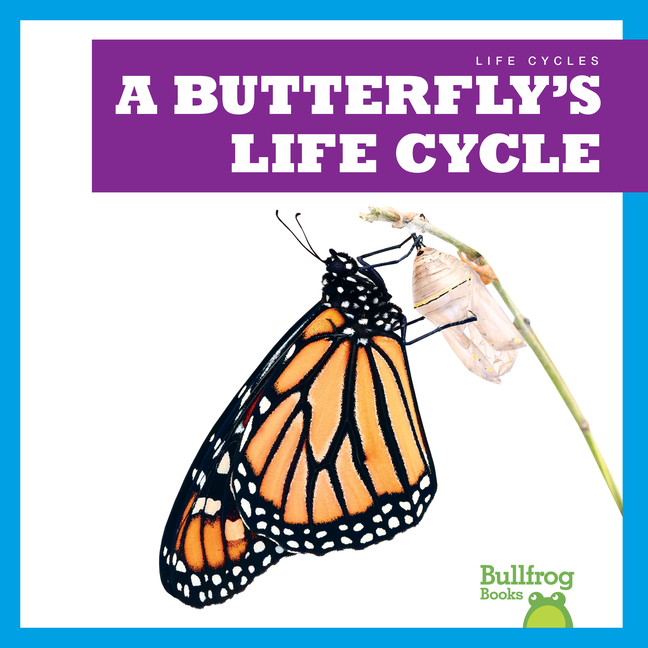 A Butterfly's Life Cycle (Life Cycles)