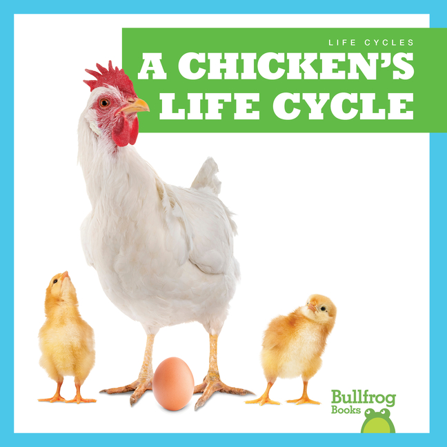 A Chicken's Life Cycle (Life Cycles)
