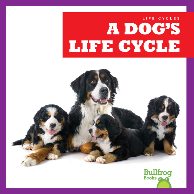 A Dog's Life Cycle (Life Cycles)