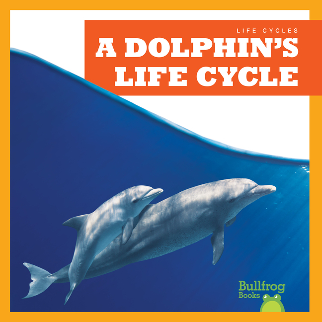 A Dolphin's Life Cycle (Life Cycles)