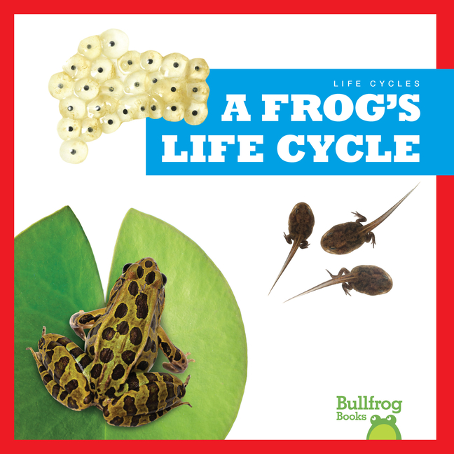 A Frog's Life Cycle (Life Cycles)
