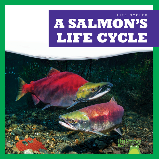 A Salmon's Life Cycle (Life Cycles)