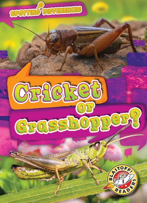 Cricket or Grasshopper? (Spotting Differences)