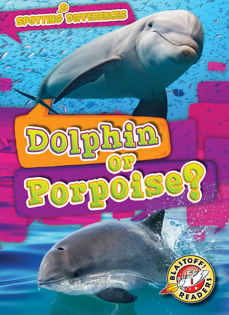 Dolphin or Porpoise? (Spotting Differences)