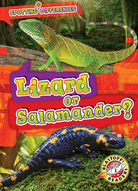 Lizard or Salamander? (Spotting Differences)