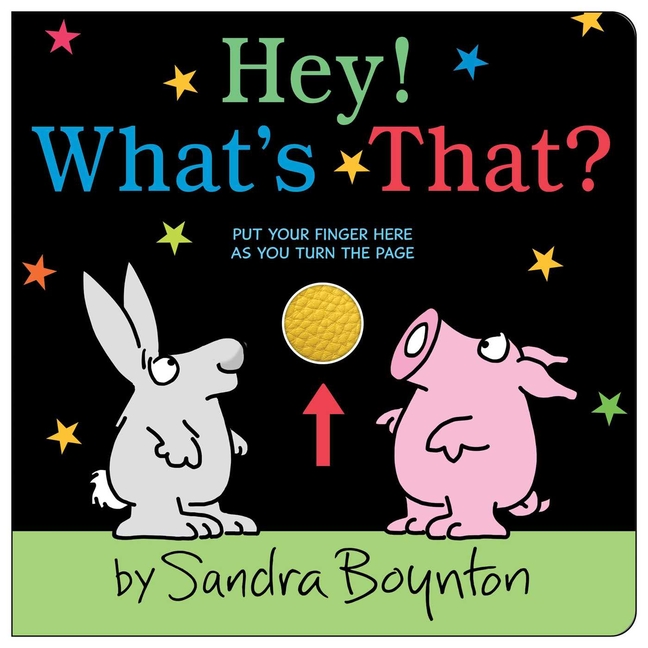 Hey! What's That (Boynton on Board)