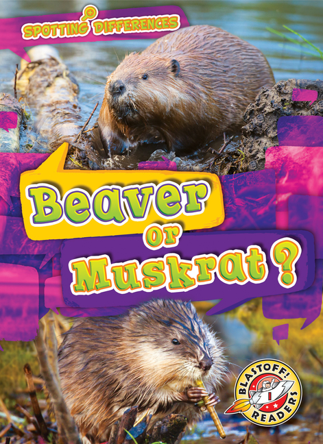Beaver or Muskrat? (Spotting Differences)