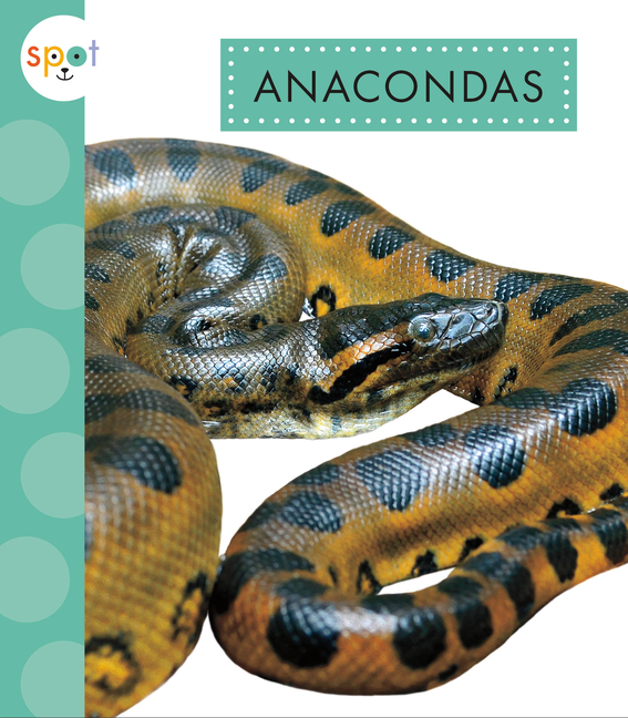 Anacondas (Spot Rainforest Animals)