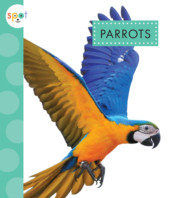 Parrots (Spot Rainforest Animals)
