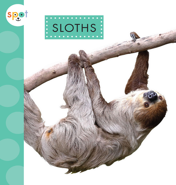 Sloths (Spot Rainforest Animals)
