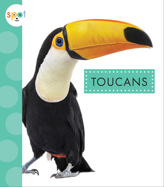 Toucans (Spot Rainforest Animals)