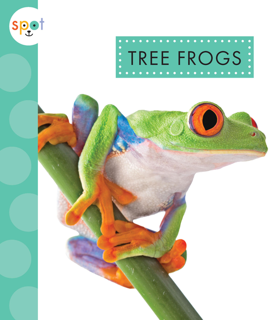 Tree Frogs (Spot Rainforest Animals)