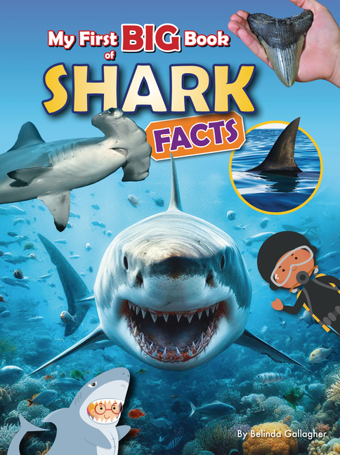 My First Big Book of Shark Facts (My First Big Book Of...)