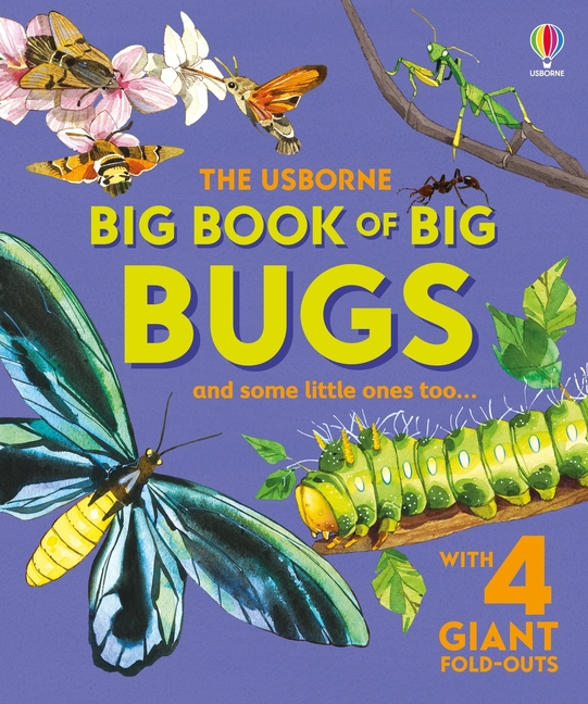 Big Book of Big Bugs (Big Books)
