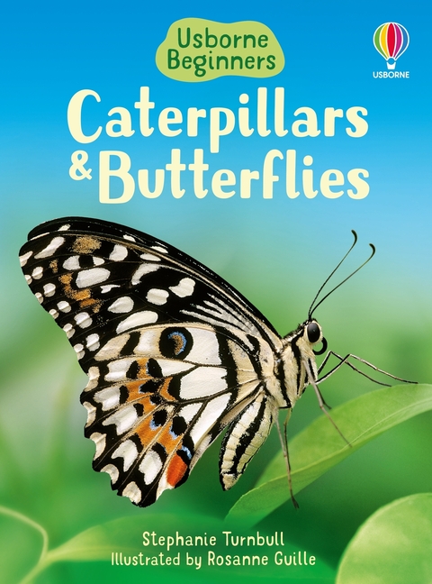 Caterpillars and Butterflies (Beginners)