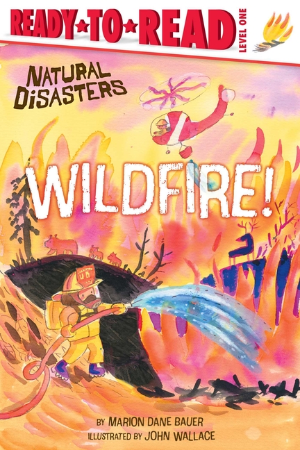 Wildfire! (Natural Disasters)