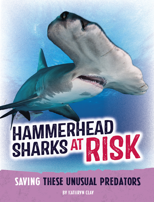 Hammerhead Sharks at Risk (Animals at Risk)