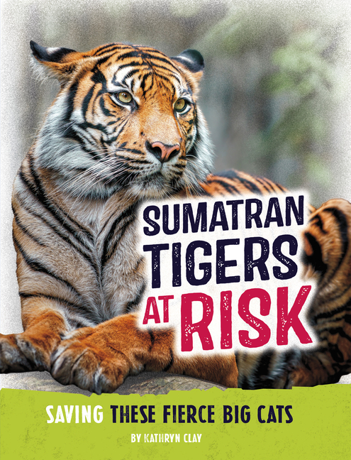 Sumatran Tigers at Risk (Animals at Risk)