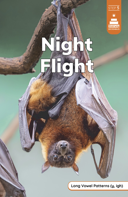 Night Flight (Stairway Decodables Step 5)