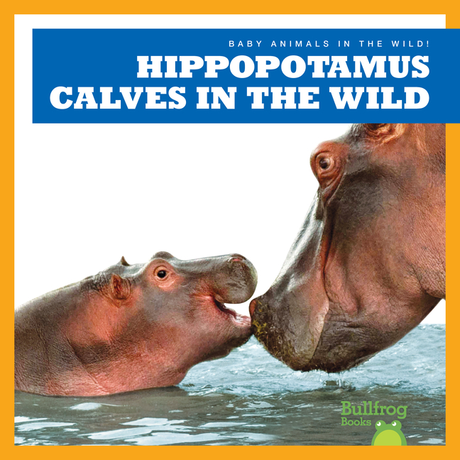 Hippopotamus Calves in the Wild (Baby Animals in the Wild!)