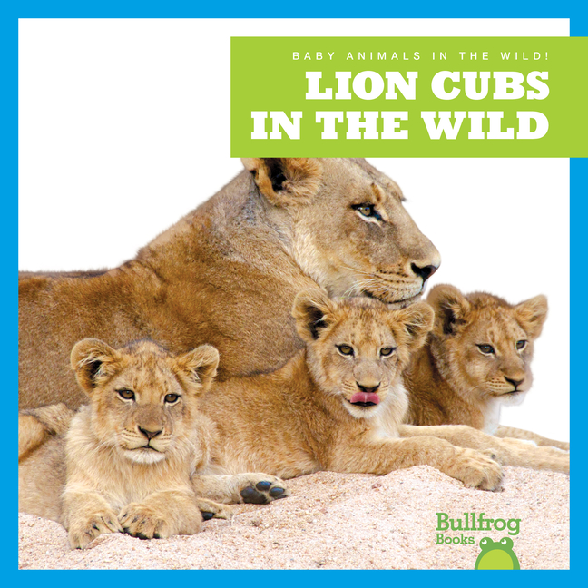 Lion Cubs in the Wild (Baby Animals in the Wild!)