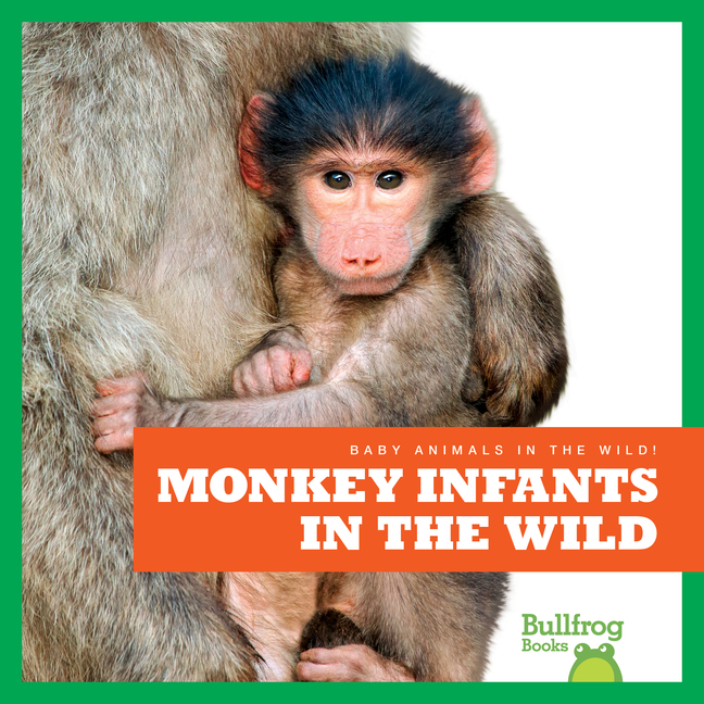 Monkey Infants in the Wild (Baby Animals in the Wild!)