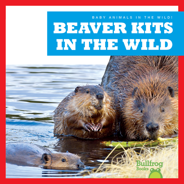 Beaver Kits in the Wild (Baby Animals in the Wild!)