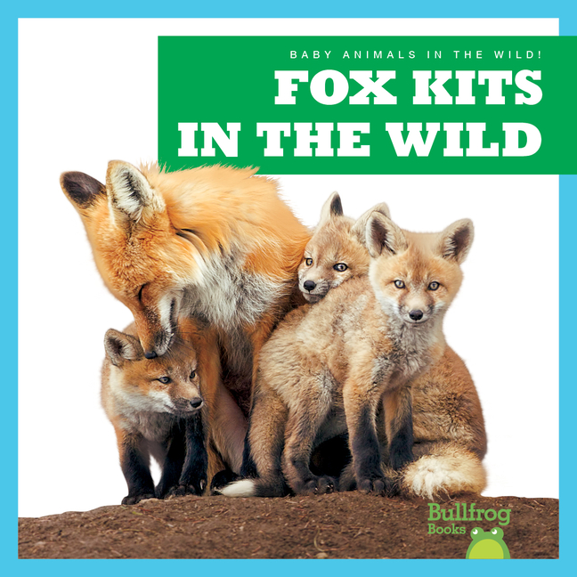 Fox Kits in the Wild (Baby Animals in the Wild!)