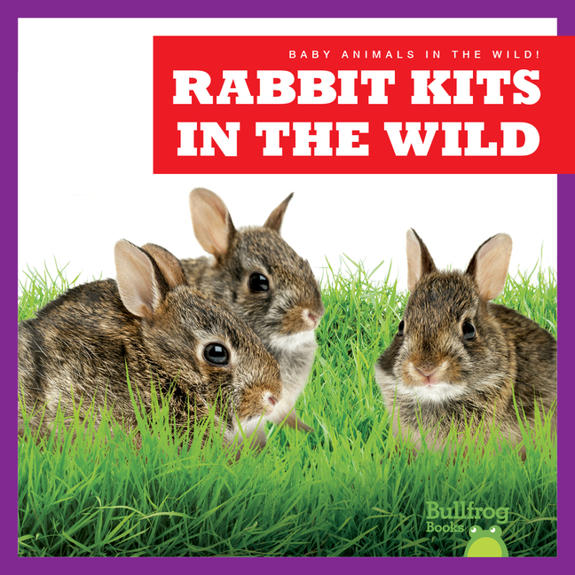 Rabbit Kits in the Wild (Baby Animals in the Wild!)