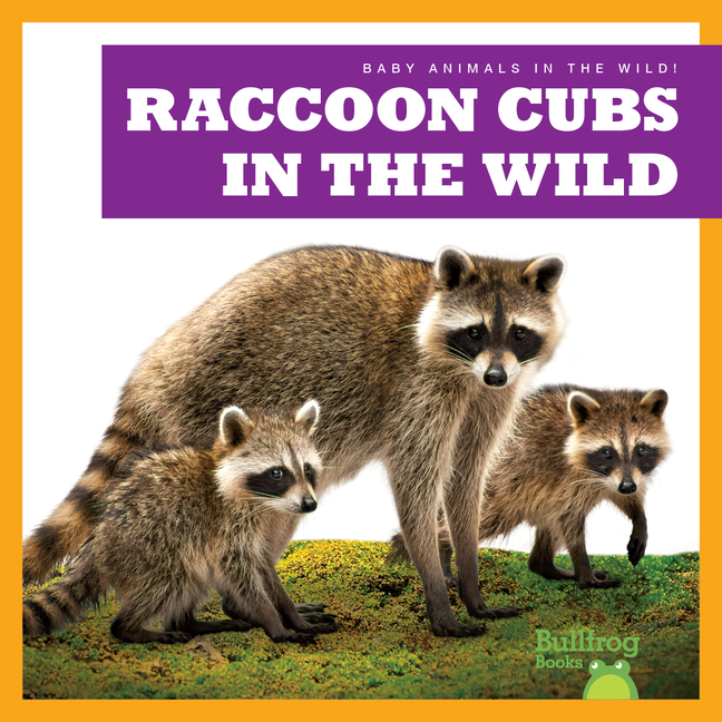 Raccoon Cubs in the Wild (Baby Animals in the Wild!)