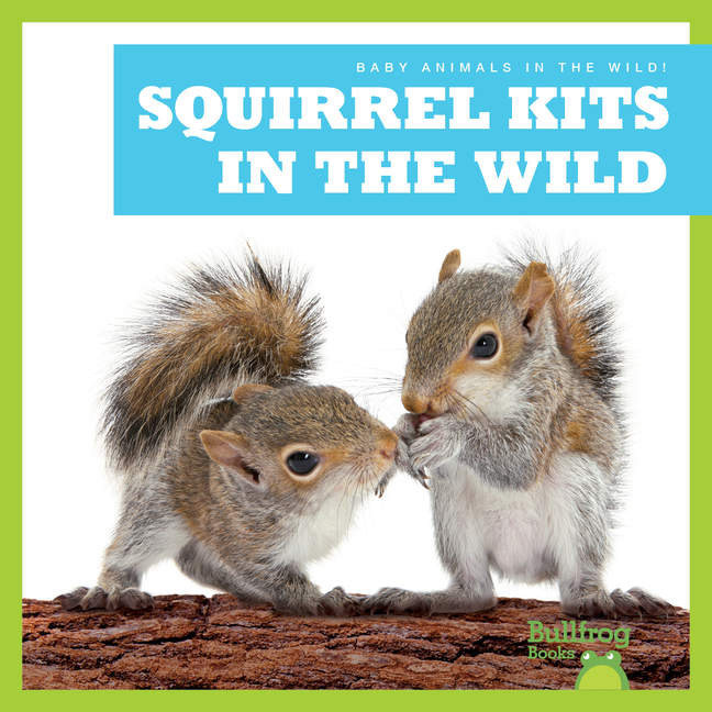 Squirrel Kits in the Wild (Baby Animals in the Wild!)