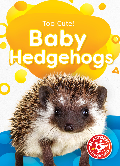 Baby Hedgehogs (Too Cute!)