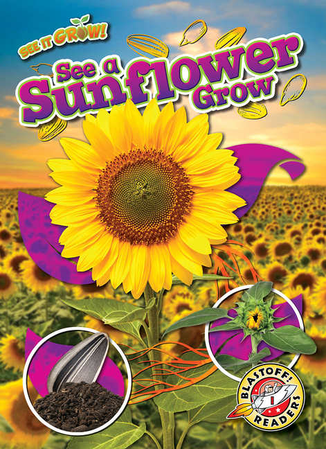 See a Sunflower Grow (See It Grow!)