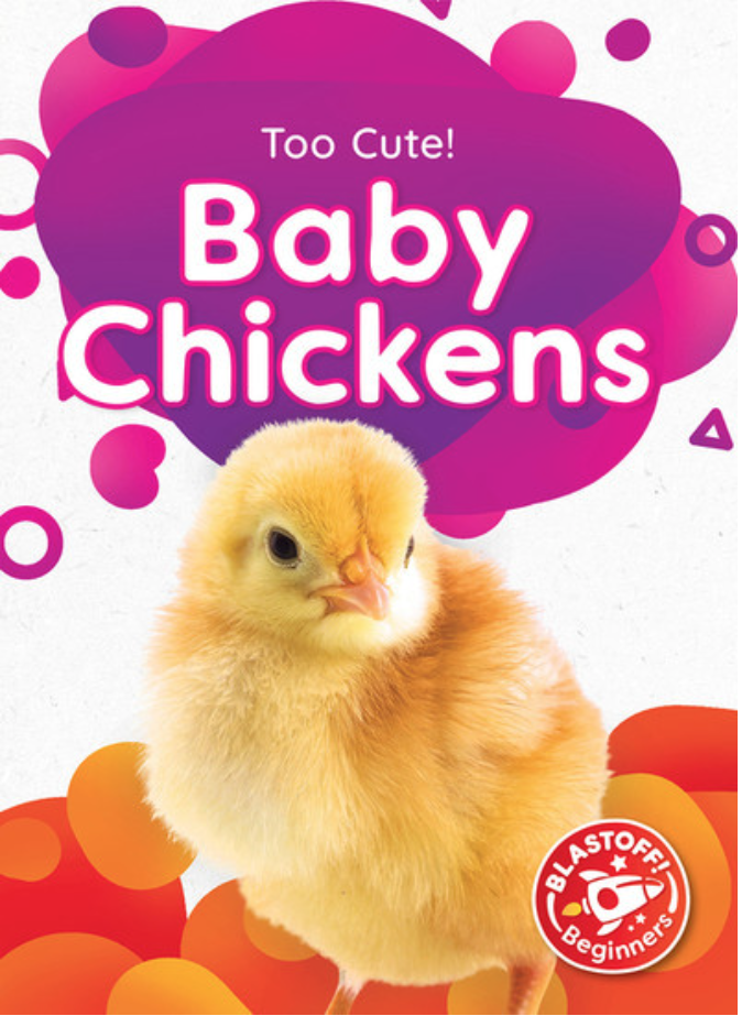 Baby Chickens (Too Cute!)