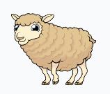 Sheep